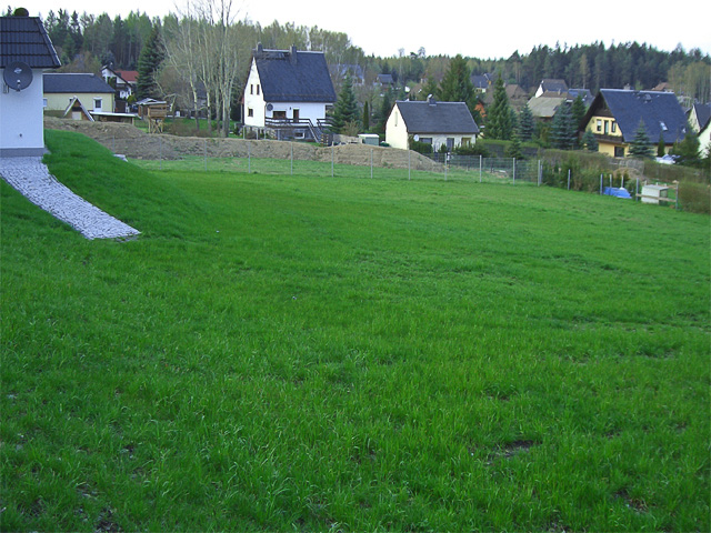 Referenzbild: 100 Die Rasenfläche vor dem gärtnerischen Eingriff 3