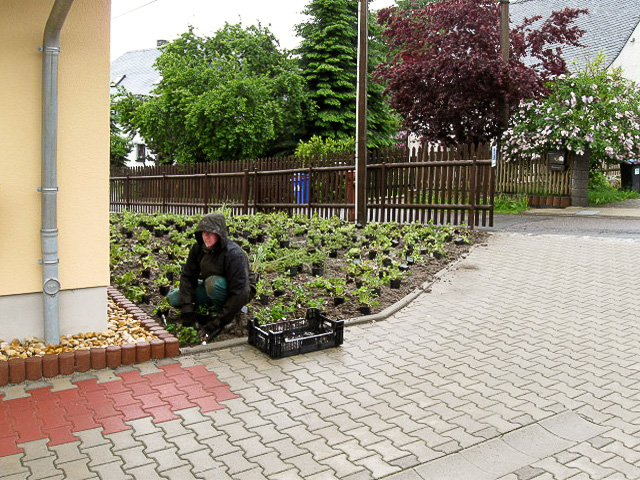 Referenzbild: 122 Gestaltung mit bodendeckender Bepflanzung.