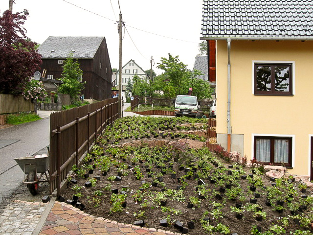 Referenzbild: 130 Belebt wird die Anlage durch der Verbindung von Stauden und Kleingehölzen 6