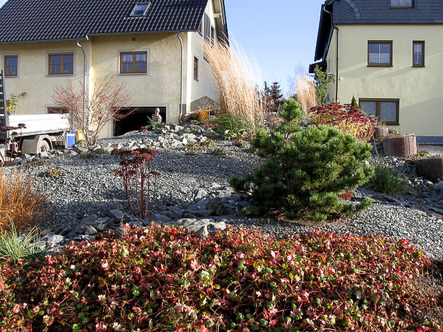 Referenzbild: 136 Im Herbst(hier Ende November 2010),  entfaltet sich der Garten in all seiner besonderen Schönheit zu einer eher  tristen Jahreszeit. 4