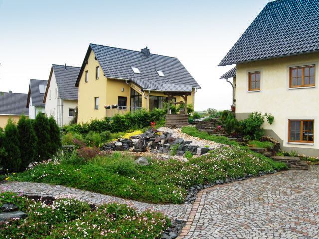 Referenzbild: 212 bodendeckende Stauden in der Blüte