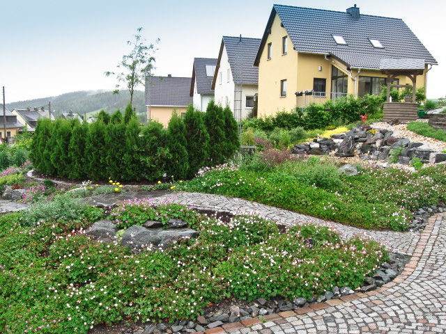 Referenzbild: 213 bodendeckende Stauden in der Blüte 2