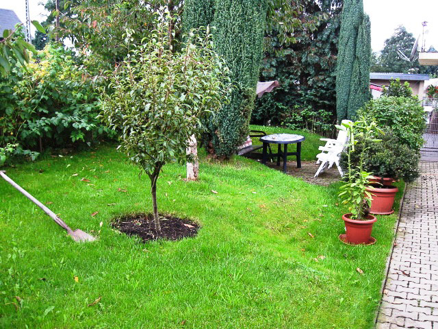 Referenzbild: 246 Der Rasen weicht einer Terrasse mit Polygonalplatten