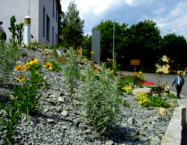 Referenzbild: 3 Gewerbefläche in Annaberg, Staudenmischpflanzung im Frühsommer