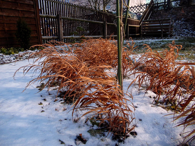 Referenzbild: 364 Das Gartenjahr beginnt im Januar