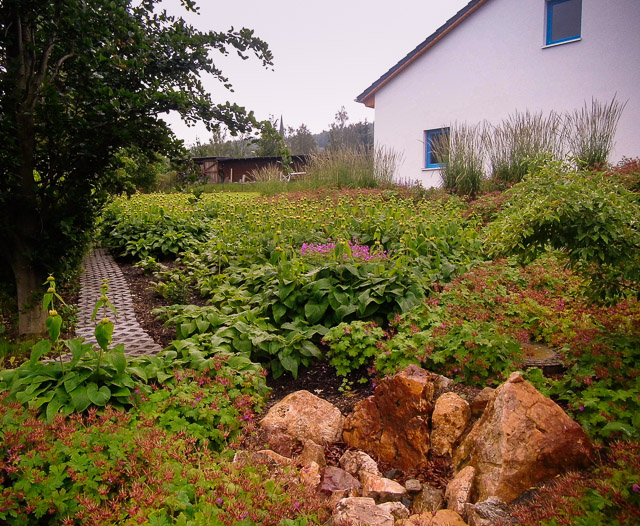 Referenzbild: 371 bodendeckende Stauden, Gräser und Gehölze im Einklang