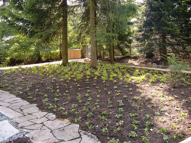 Referenzbild: 397 nach der Bepflanzung, Wegeführung ums Haus aus Natursteinplatten