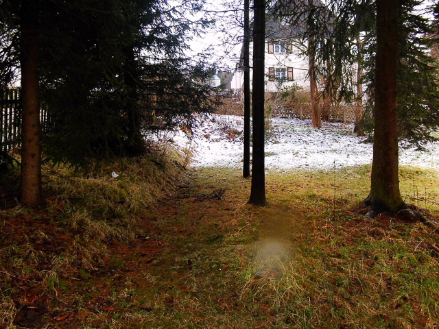 Referenzbild: 400 Vorher, kaum pflegbar und wenig atraktiv, Rasen im Schatten von Bäumen