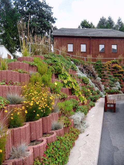 Referenzbild: 428 Stauden machen es möglich, Blüten und Strukturen übers ganze Jahr, lenken von der massiven Betonwand ab.