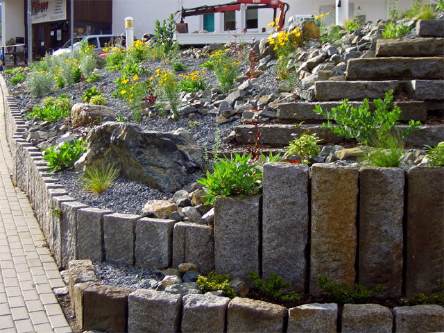 Referenzbild: 5 Gestaltung der Gewerbefläche durch  Stauden mit mineralischer Mulchschicht im erstes Standjahr